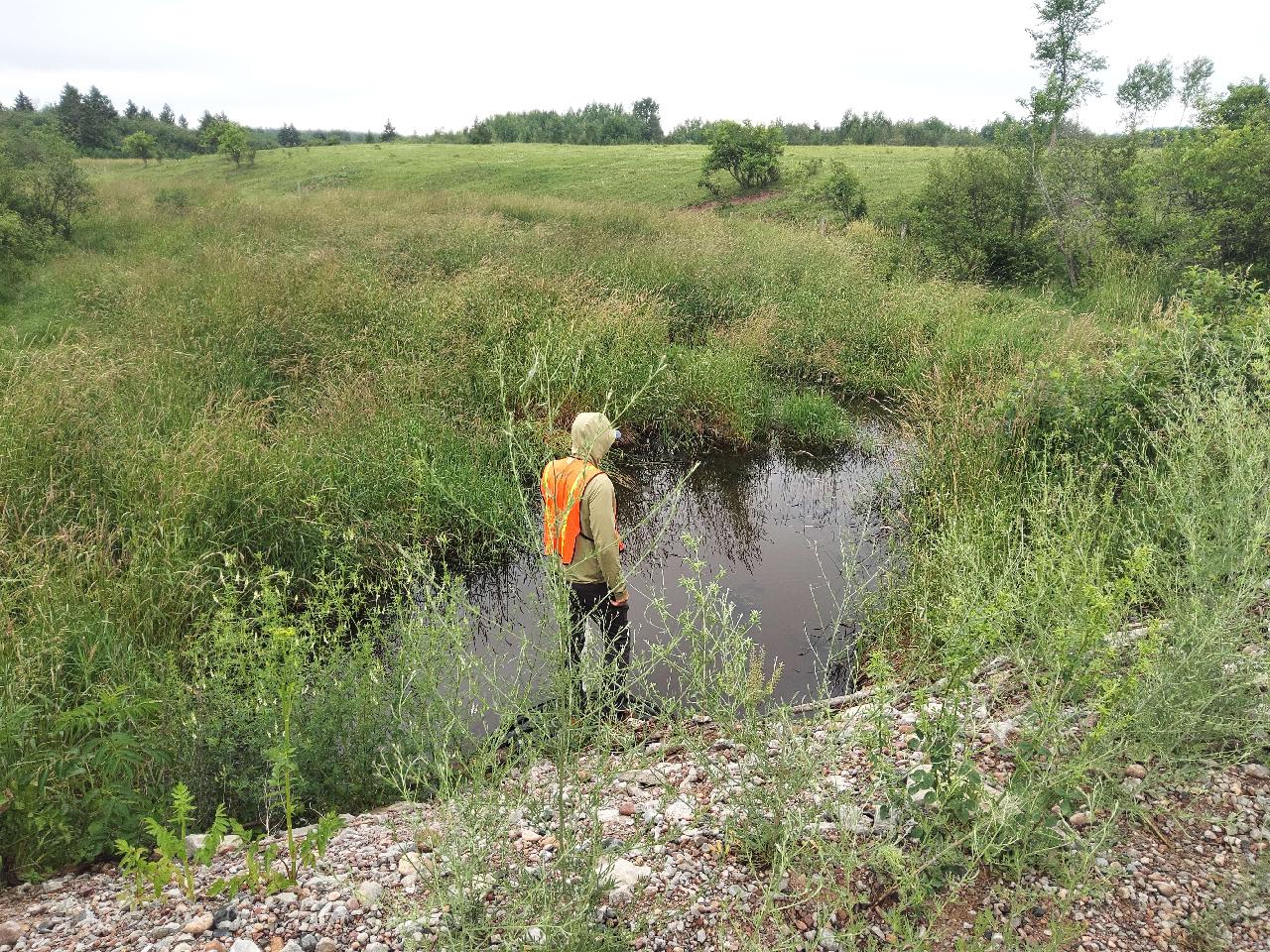 Upstream Conditions