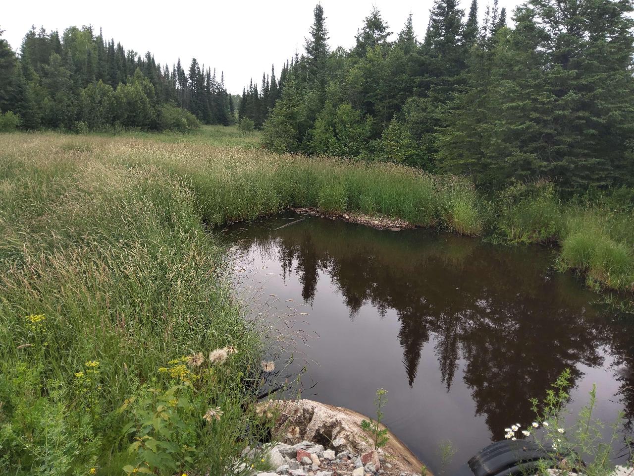 Downstream Conditions