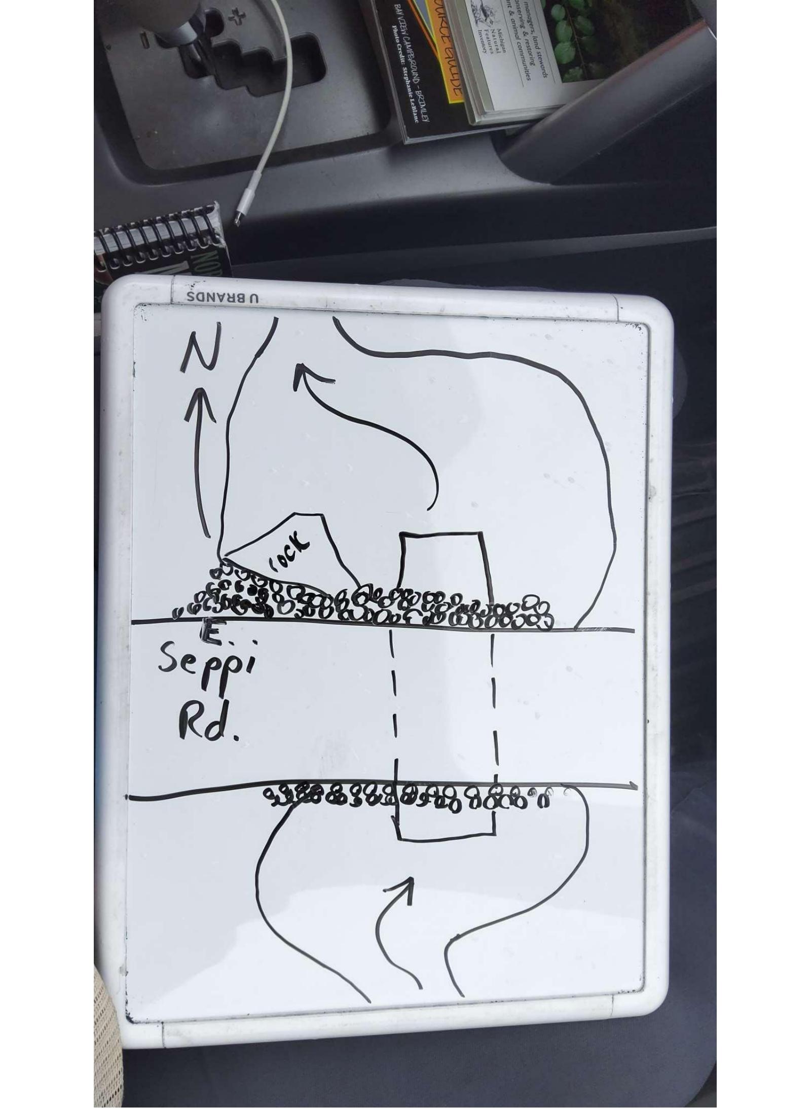 Site Sketch