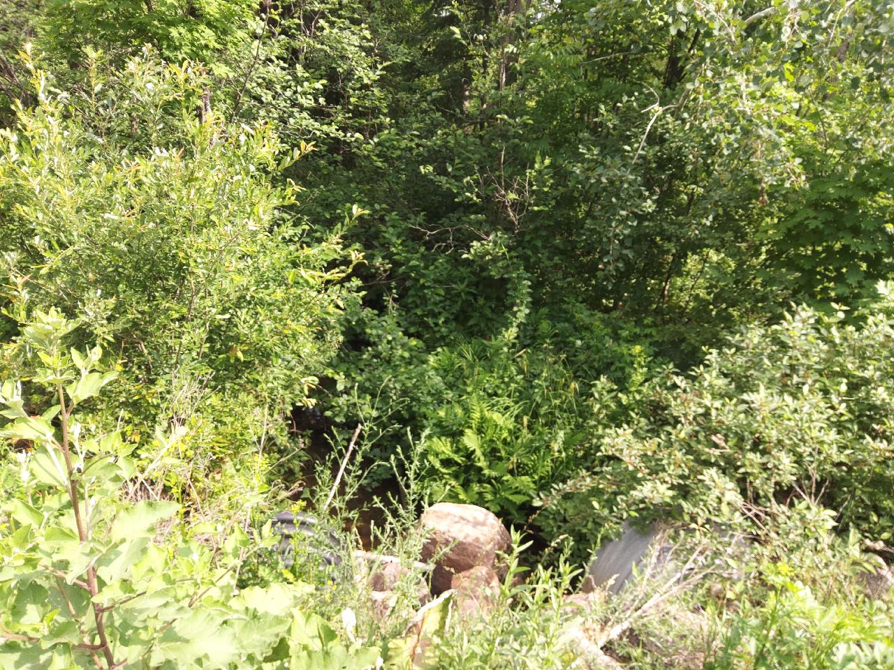 Upstream Conditions