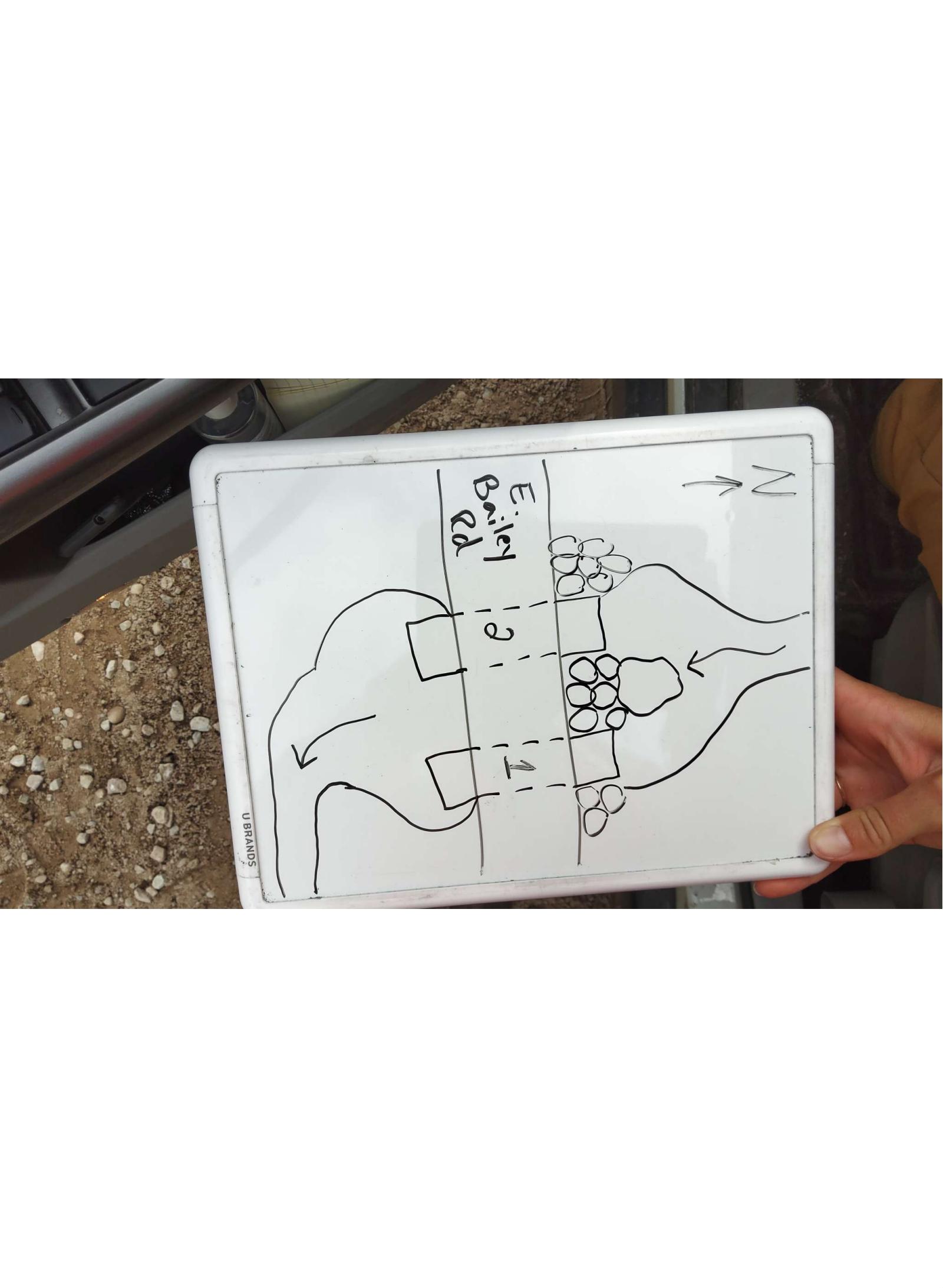 Site Sketch