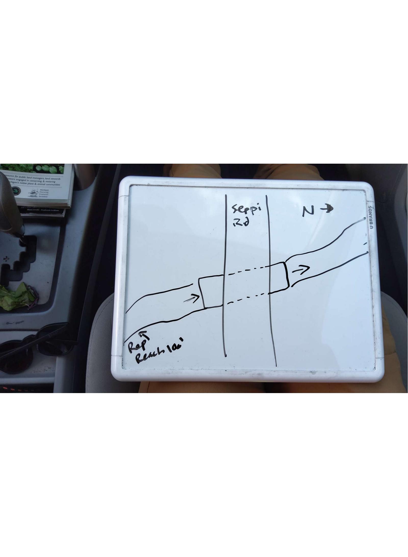 Site Sketch